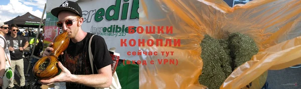 сатива Верея