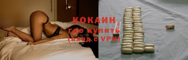 сатива Верея