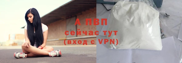 сатива Верея