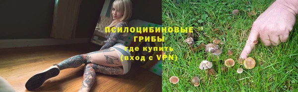 СК Верхний Тагил