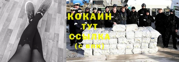 сатива Верея