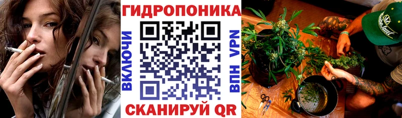 omg ССЫЛКА Ветлуга Бошки марихуана сатива